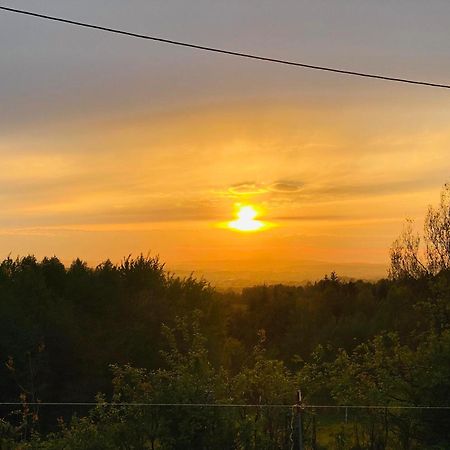 Appartamento Zacisze Na Podzamczu Odrzykon Esterno foto