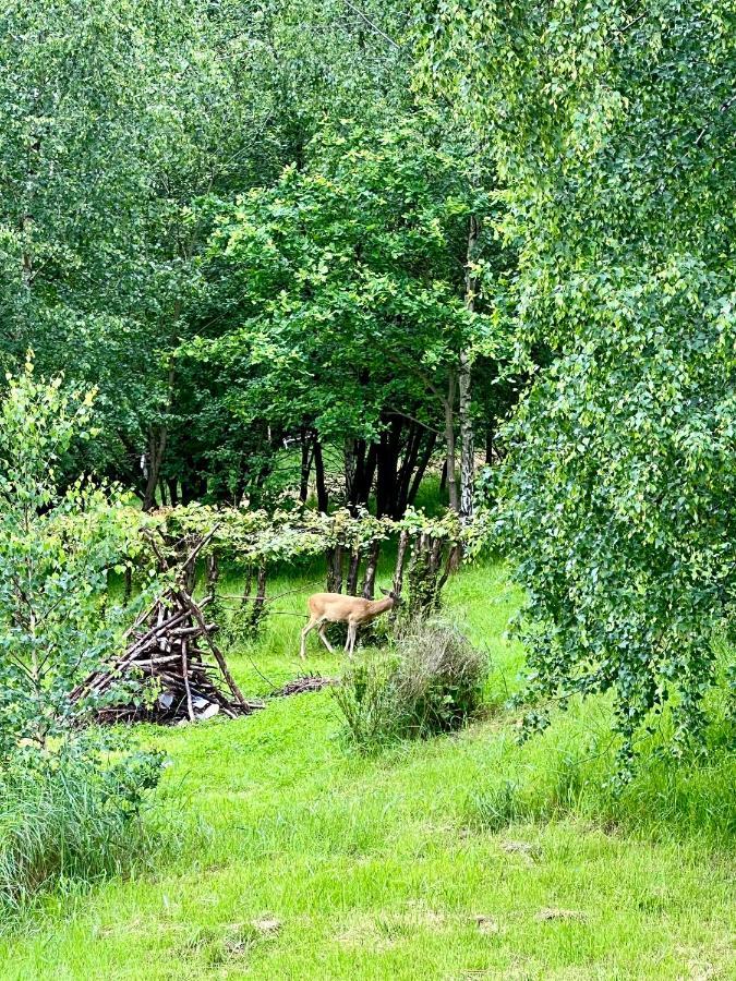 Appartamento Zacisze Na Podzamczu Odrzykon Esterno foto