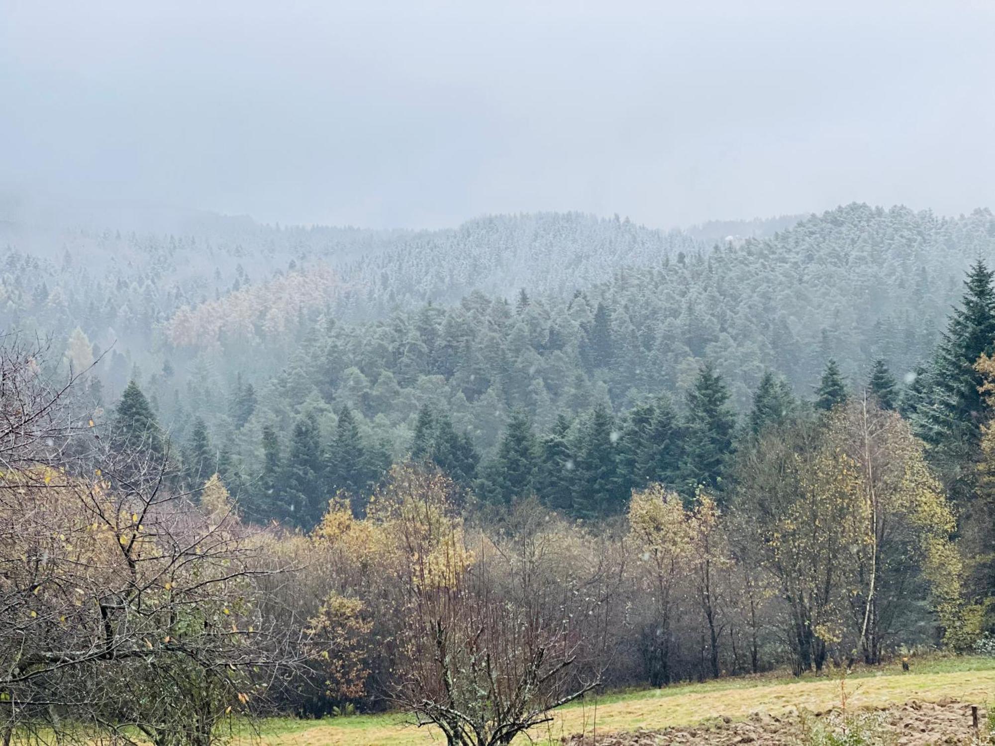 Appartamento Zacisze Na Podzamczu Odrzykon Esterno foto