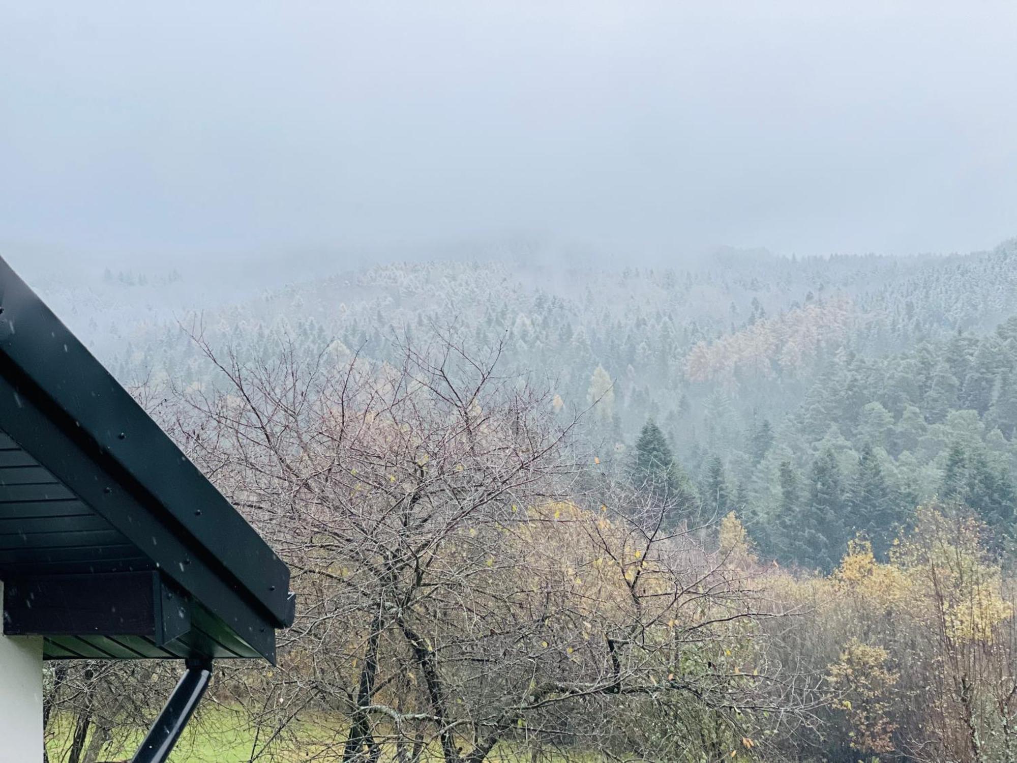 Appartamento Zacisze Na Podzamczu Odrzykon Esterno foto