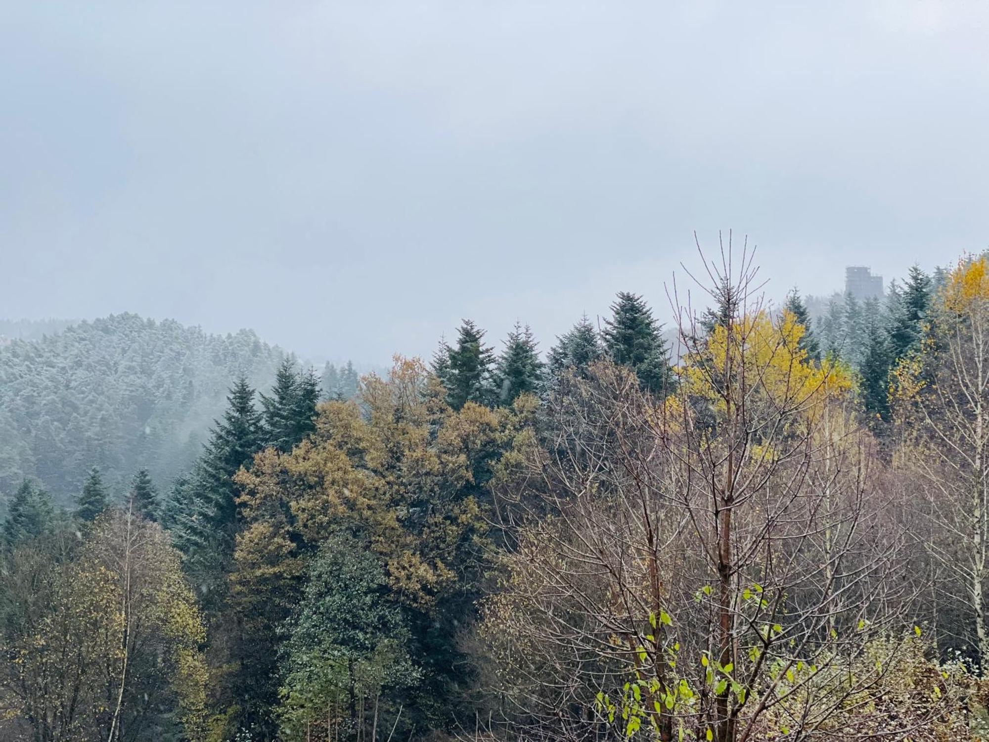 Appartamento Zacisze Na Podzamczu Odrzykon Esterno foto