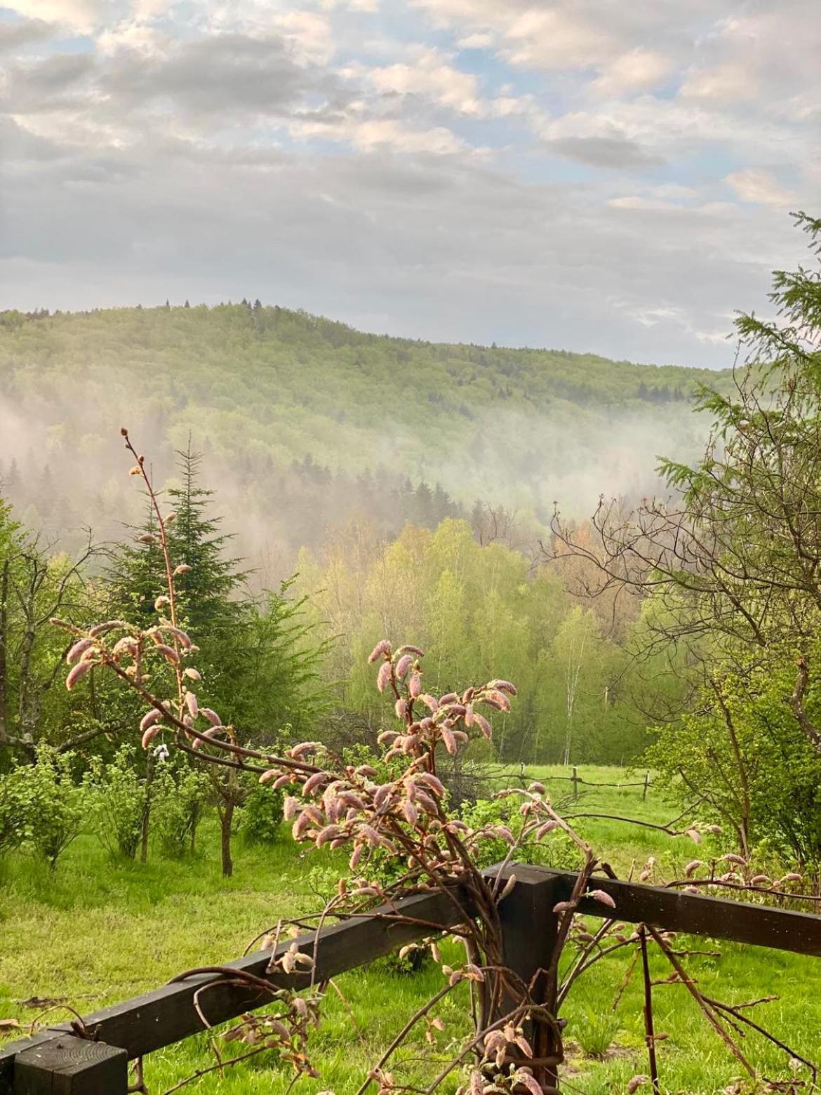 Appartamento Zacisze Na Podzamczu Odrzykon Esterno foto