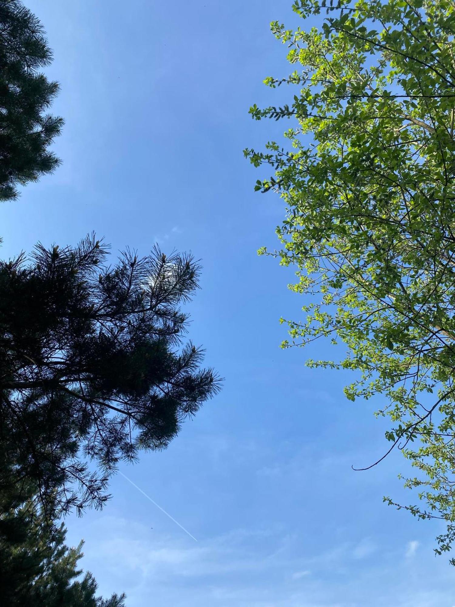 Appartamento Zacisze Na Podzamczu Odrzykon Esterno foto